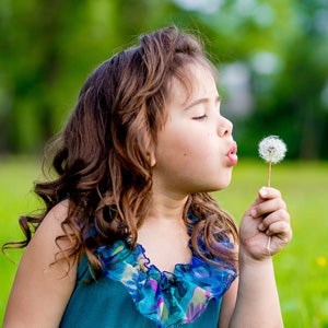 A little girl blowing on a dandelion flower.